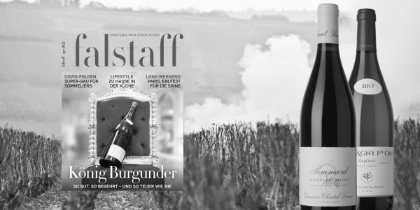 Falstaff - Best of Burgund unter 100 €